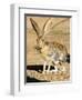 An Antelope Jackrabbit (Lepus Alleni) Alert for Danger-Richard Wright-Framed Photographic Print