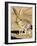 An Antelope Jackrabbit (Lepus Alleni) Alert for Danger-Richard Wright-Framed Photographic Print