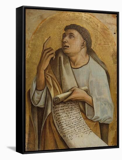 An Apostle, c.1471-73-Carlo Crivelli-Framed Stretched Canvas