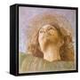 An Apostle (Fresco)-Melozzo Da Forli-Framed Stretched Canvas