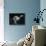 An Appearance Showing a Russian Wolfhound in Action-null-Stretched Canvas displayed on a wall