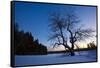 An Apple Tree at Sunset, Notchview Reservation, Windsor, Massachusetts-Jerry & Marcy Monkman-Framed Stretched Canvas