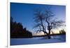 An Apple Tree at Sunset, Notchview Reservation, Windsor, Massachusetts-Jerry & Marcy Monkman-Framed Photographic Print