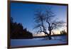 An Apple Tree at Sunset, Notchview Reservation, Windsor, Massachusetts-Jerry & Marcy Monkman-Framed Photographic Print