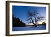 An Apple Tree at Sunset, Notchview Reservation, Windsor, Massachusetts-Jerry & Marcy Monkman-Framed Photographic Print