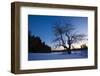 An Apple Tree at Sunset, Notchview Reservation, Windsor, Massachusetts-Jerry & Marcy Monkman-Framed Photographic Print