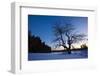 An Apple Tree at Sunset, Notchview Reservation, Windsor, Massachusetts-Jerry & Marcy Monkman-Framed Photographic Print