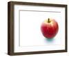 An apple-null-Framed Photographic Print