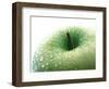 An apple-null-Framed Photographic Print