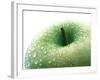 An apple-null-Framed Photographic Print