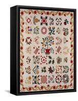 An Appliqued and Pieced Album Quilt, Maryland, Mid 19th Century-null-Framed Stretched Canvas