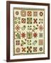 An Appliqued Cotton Album Quilt, circa 1852-Francina Stout Van Dyke-Framed Giclee Print