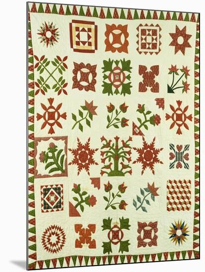 An Appliqued Cotton Album Quilt, circa 1852-Francina Stout Van Dyke-Mounted Giclee Print