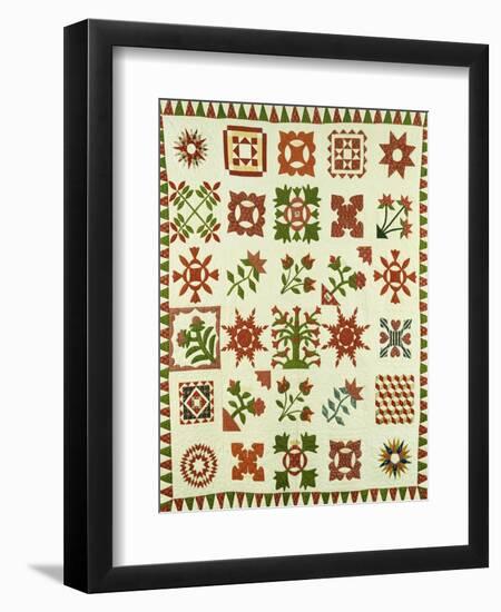 An Appliqued Cotton Album Quilt, circa 1852-Francina Stout Van Dyke-Framed Giclee Print