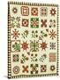 An Appliqued Cotton Album Quilt, circa 1852-Francina Stout Van Dyke-Stretched Canvas