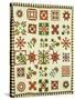 An Appliqued Cotton Album Quilt, circa 1852-Francina Stout Van Dyke-Stretched Canvas