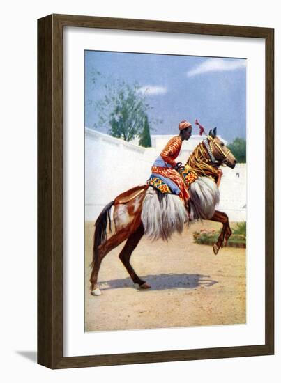 An Arab Dancing Horse, Udaipur, India, 1922-Herbert Ponting-Framed Giclee Print