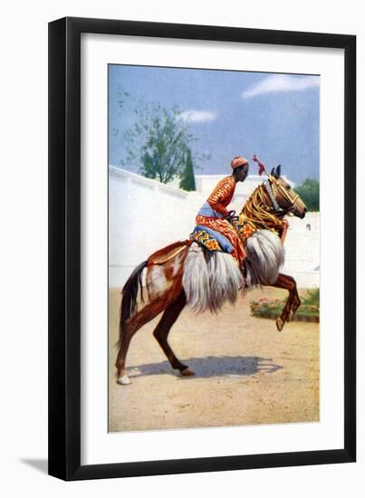 An Arab Dancing Horse, Udaipur, India, 1922-Herbert Ponting-Framed Giclee Print