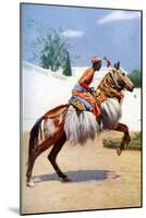 An Arab Dancing Horse, Udaipur, India, 1922-Herbert Ponting-Mounted Giclee Print
