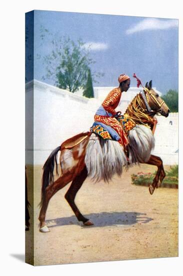 An Arab Dancing Horse, Udaipur, India, 1922-Herbert Ponting-Stretched Canvas