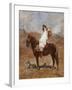 An Arab on a Horse in a Desert Landscape-Henri Emilien Rousseau-Framed Giclee Print