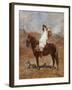 An Arab on a Horse in a Desert Landscape-Henri Emilien Rousseau-Framed Giclee Print