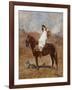 An Arab on a Horse in a Desert Landscape-Henri Emilien Rousseau-Framed Giclee Print