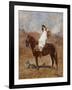 An Arab on a Horse in a Desert Landscape-Henri Emilien Rousseau-Framed Giclee Print
