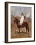 An Arab on a Horse in a Desert Landscape-Henri Emilien Rousseau-Framed Giclee Print