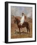 An Arab on a Horse in a Desert Landscape-Henri Emilien Rousseau-Framed Giclee Print