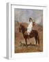 An Arab on a Horse in a Desert Landscape-Henri Emilien Rousseau-Framed Giclee Print