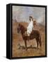 An Arab on a Horse in a Desert Landscape-Henri Emilien Rousseau-Framed Stretched Canvas