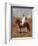 An Arab on a Horse in a Desert Landscape-Henri Emilien Rousseau-Framed Giclee Print