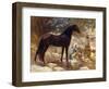 An Arab Watering His Horse by a River, C.1890-1900-Frederick Arthur Bridgman-Framed Giclee Print