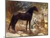 An Arab Watering His Horse by a River, C.1890-1900-Frederick Arthur Bridgman-Mounted Giclee Print