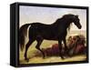 An Arabian Horse-Baron Antoine Jean Gros-Framed Stretched Canvas