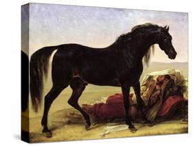 An Arabian Horse-Baron Antoine Jean Gros-Stretched Canvas