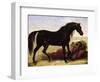 An Arabian Horse-Baron Antoine Jean Gros-Framed Giclee Print