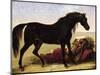 An Arabian Horse-Baron Antoine Jean Gros-Mounted Giclee Print