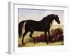 An Arabian Horse-Baron Antoine Jean Gros-Framed Giclee Print