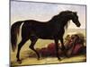 An Arabian Horse-Baron Antoine Jean Gros-Mounted Giclee Print