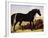 An Arabian Horse-Baron Antoine Jean Gros-Framed Giclee Print