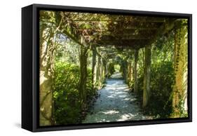 An Arbored Pathway-Alan Hausenflock-Framed Stretched Canvas