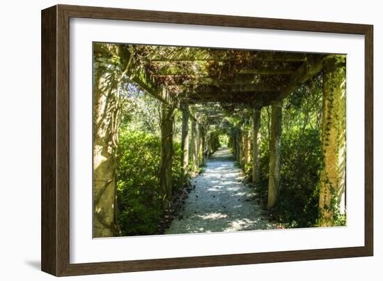 An Arbored Pathway-Alan Hausenflock-Framed Photographic Print