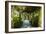 An Arbored Pathway-Alan Hausenflock-Framed Photographic Print