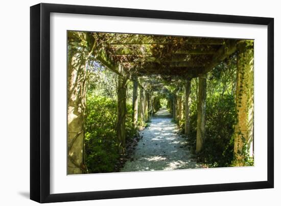 An Arbored Pathway-Alan Hausenflock-Framed Photographic Print