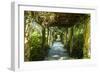 An Arbored Pathway-Alan Hausenflock-Framed Photographic Print