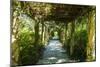 An Arbored Pathway-Alan Hausenflock-Mounted Photographic Print