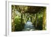 An Arbored Pathway-Alan Hausenflock-Framed Photographic Print