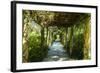 An Arbored Pathway-Alan Hausenflock-Framed Photographic Print